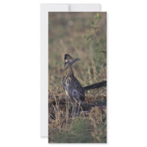 Roadrunner Custom Rack Card