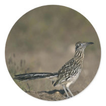 Roadrunner Round Stickers