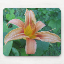 Roadside Delicacy Mousepad