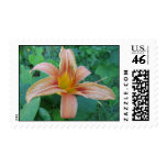 Roadside Delicacy Stamp