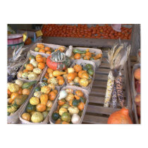 Roadside Squash posters by figstreetstudio Roadside Squash posters