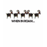 ROAM t-shirts