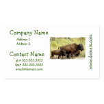 Roaming Buffalo Business Cards