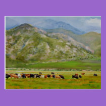 Roaming Free Postcard postcards