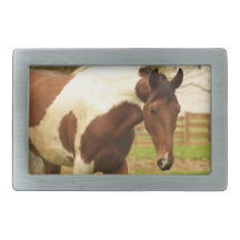 Roaming Paint Horse Buckle Rectangular Belt Buckle