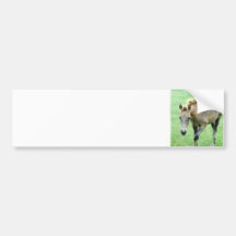Roaming Roan Horse  Bumper Stickers