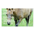 Roaming Roan Horse  Business Cards