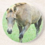 Roaming Roan Horse Coaster