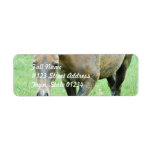 Roaming Roan Horse Mailing Labels