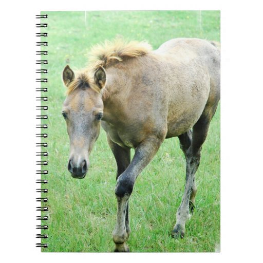 Roaming Roan Horse Notebook