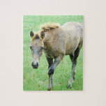 Roaming Roan Horse Puzzle