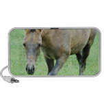 Roaming Roan Horse Speakers