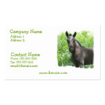 Roan Colt Business Card
