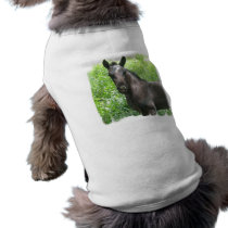 Roan Colt Dog Shirt