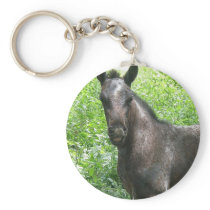 Roan Colt Keychain