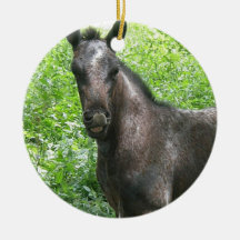 Roan Colt Ornament