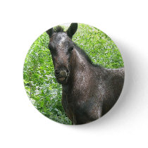 Roan Colt Round Button