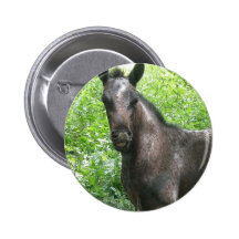 Roan Colt Round Button