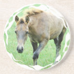 Roan Horse Coasters