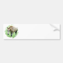 Roan Horse Photo Bumper Sticker
