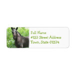 Roan Horse Return Address Label