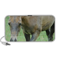 Roan Horses Speakers