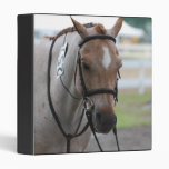 Roan Pony Binder