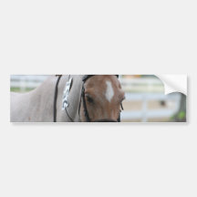 Roan Pony Bumper Stickers
