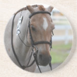 Roan Pony Coaster