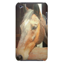 Roan Thoroughbred Horse iTouch Case Barely There iPod Cases