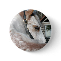 Roan Walking Horse Buttons