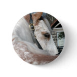 Roan Walking Horse buttons