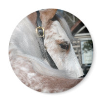 Roan Walking Horse Refrigerator Magnets