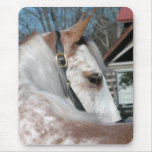 Roan Walking Horse Mousepads