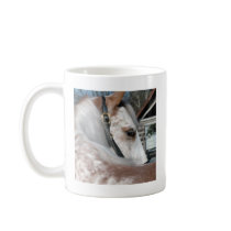 Roan Walking Horse Coffee Mugs