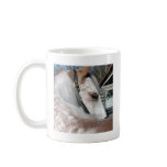 Roan Walking Horse mugs
