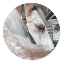 Roan Walking Horse Sticker