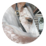 Roan Walking Horse Sticker