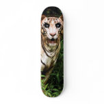 ROAR Board Skate Decks