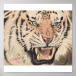 Roar Poster