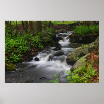 Roaring Brook in Spring, Petersham Massachusetts Print