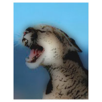 'Roaring Catamount' Flyer Design