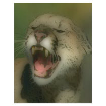 'Roaring Cougar' Flyer