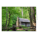 Roaring Fork Nature Trail, Smokies Greeting Cards