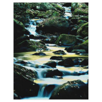 Roaring Fork Trail, Smoky Mountain National Park, Flyer