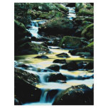 Roaring Fork Trail, Smoky Mountain National Park, flyers