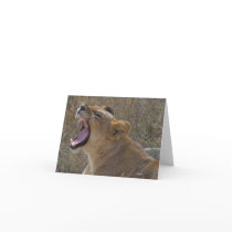 Roaring Lion notecard cards