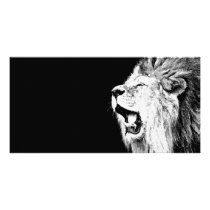 Roaring Lion Picture Card