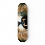 Roaring Lion Skate Deck