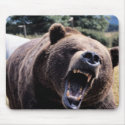 Roaring Teddy Bear mousepads
